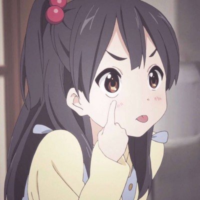 美第一夫人祸从口出